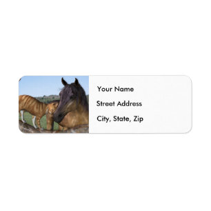 Horse and cat, "Love thy Neigh-Purr" Address Label
