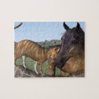 Horse and Cat Puzzle - Love Thy Neigh-Purr