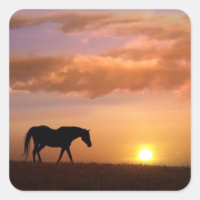 Horse and Country Sunrise Square Sticker (Front)