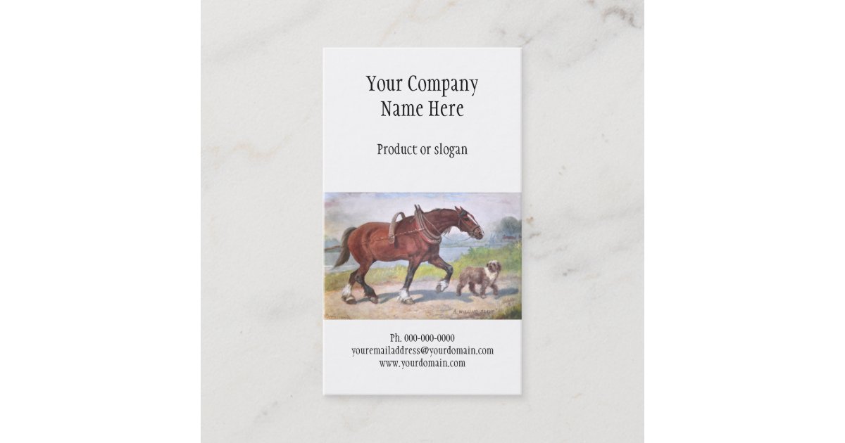 Horse and dog business card Zazzle