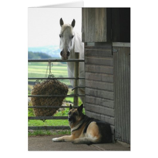 Horse and Dog Cards (Front)