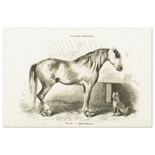 Horse and Dog Ephemera Decoupage Vintage French Tissue Paper