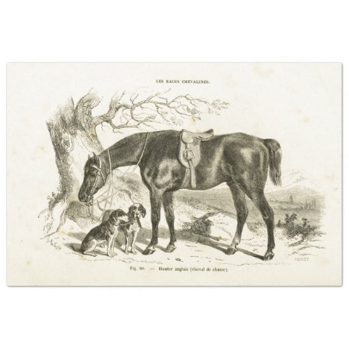 Horse and Dogs Ephemera Decoupage Vintage French Tissue Paper