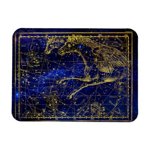 horse and dolphin constellation magnet