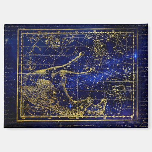 horse and dolphin constellation magnet