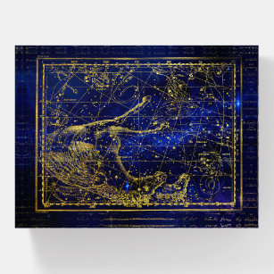 horse and dolphin constellation paperweight