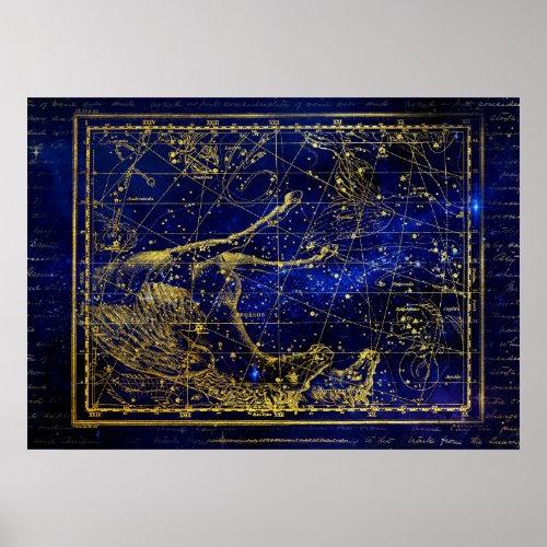 horse and dolphin constellation poster
