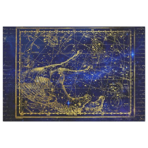 horse and dolphin constellation tissue paper