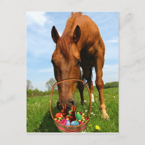 Horse and Easter Basket Postcard