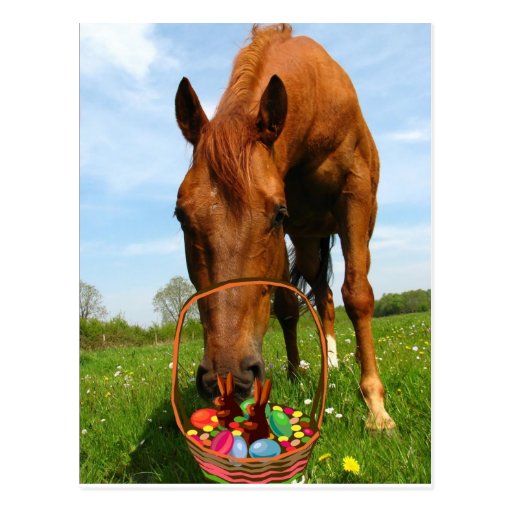 Horse and Easter Basket Postcard | Zazzle