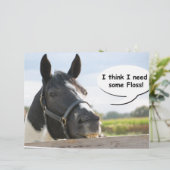 Horse and Floss (Standing Front)