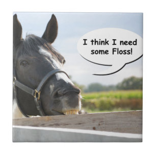 Horse and Floss Ceramic Tile