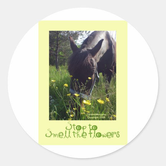 Horse and flowers classic round sticker