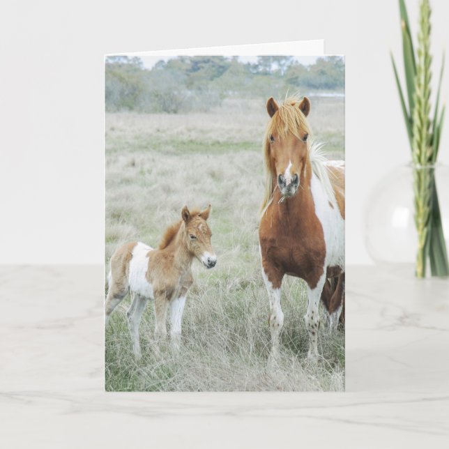 Horse and Foal Country Blank Notecard (Front)