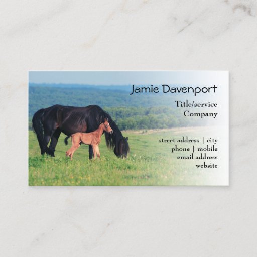 Customizable Horse and Foal on a meadow Business Card