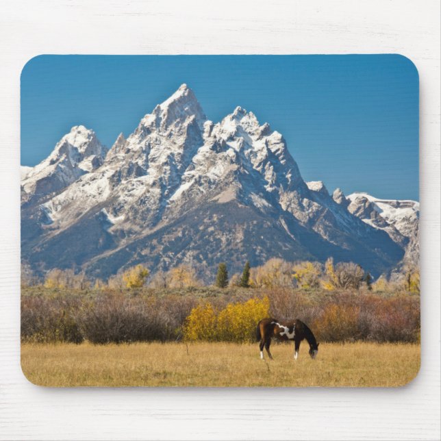 Horse and Grand Tetons, Moose Head Ranch Mouse Pad (Front)