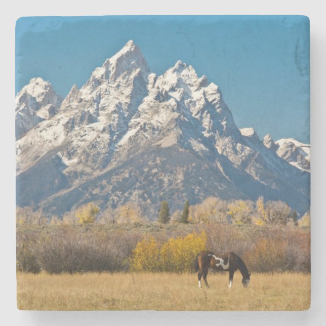 Horse and Grand Tetons, Moose Head Ranch Stone Coaster (Front)