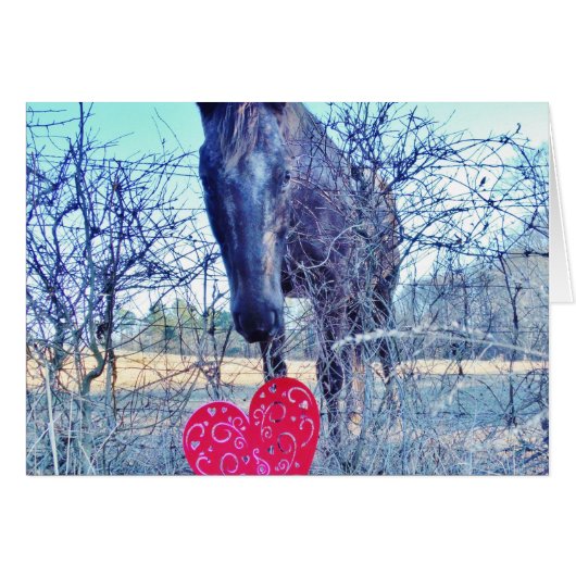 Horse and Heart (Front Horizontal)