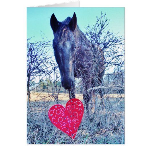 Horse and  Heart Cards (Front)