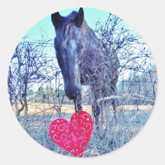 Horse and  Heart Classic Round Sticker (Front)