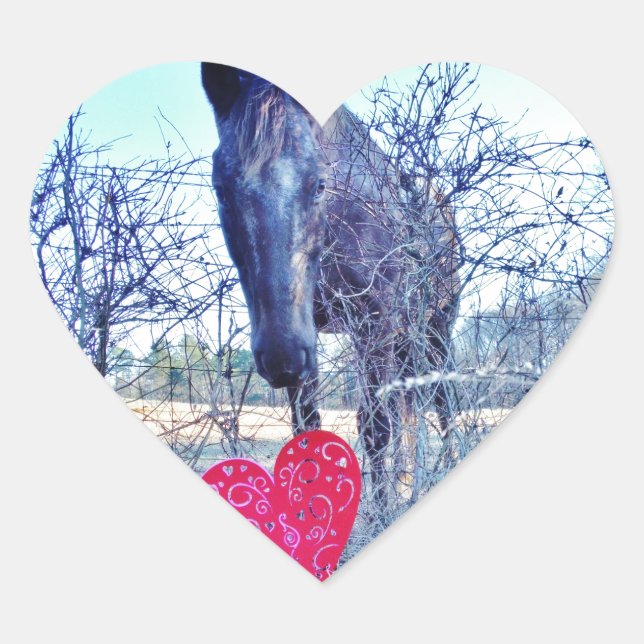 Horse and  Heart Heart Sticker (Front)