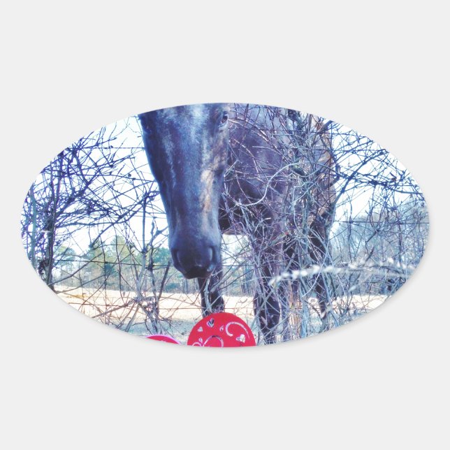 Horse and  Heart Oval Sticker (Front)