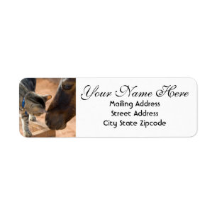 Horse and Kitten Return Address Label