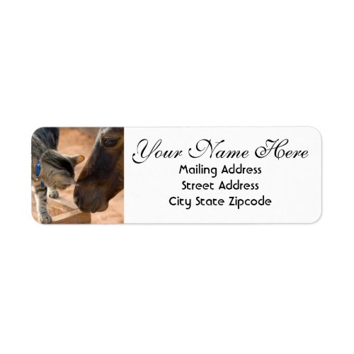 Horse and Kitten Return Address Label