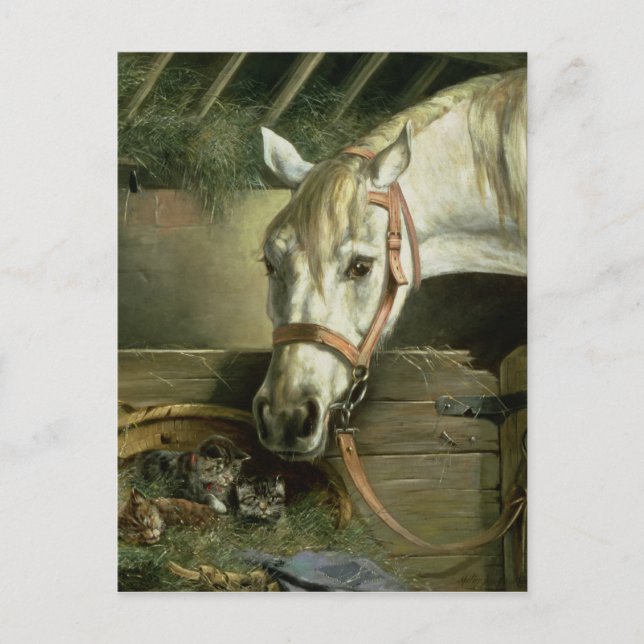 Horse and kittens, 1890 postcard (Front)