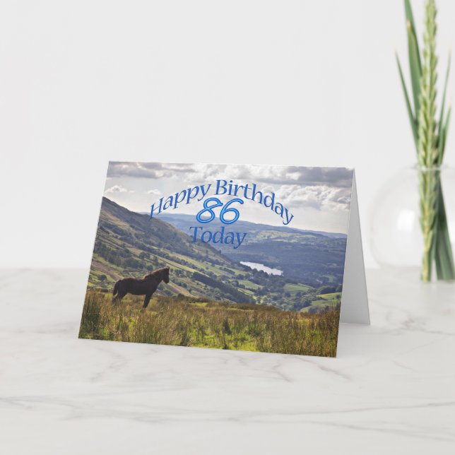 Horse and landscape 86th birthday card (Front)