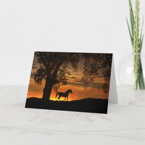 Horse and Oak Tree Blank Note Card