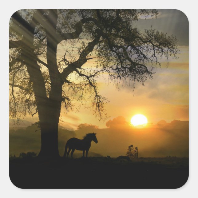 Horse and Oak Tree with Sunrise Stickers (Front)