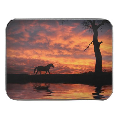 Horse and Pond in Sunset After the Storm Beautiful Jigsaw Puzzle