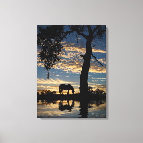 Horse and Pond Pretty Nature Landscape Canvas Print