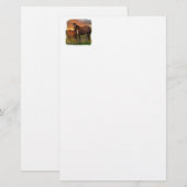 Horse and pony (Front/Back)
