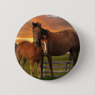 Horse and pony button