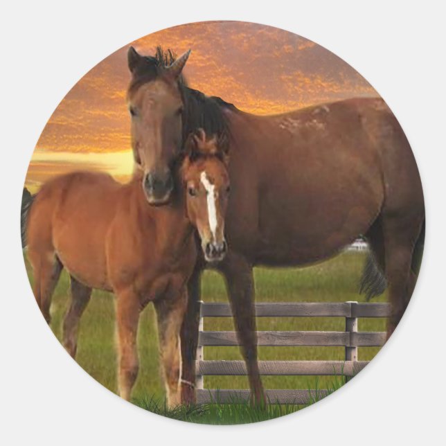 Horse and pony classic round sticker (Front)