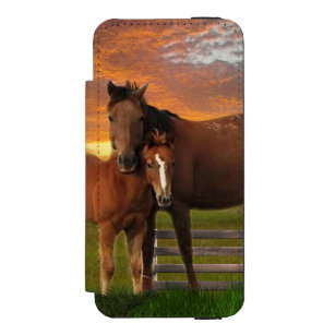 Horse and pony wallet case for iPhone SE/5/5s