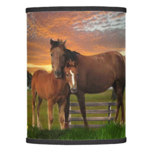 Horse and pony lamp shade