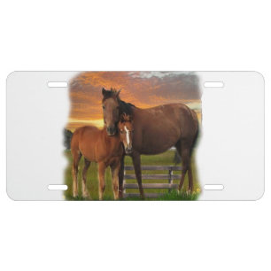 Horse and pony license plate