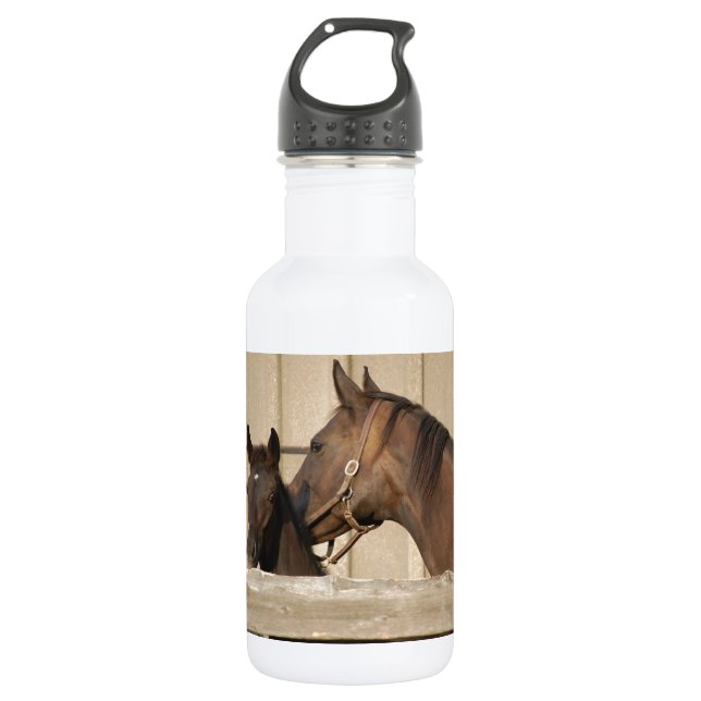 Horse and Pony Stainless Steel Water Bottle (Front)