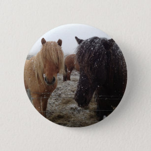 Horse and Rider Gifts, Personalized Pinback Button