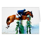 Horse and Rider in the Jumper Ring (Front Horizontal)