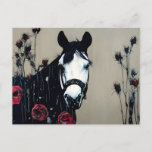 Horse And Roses Postcard at Zazzle