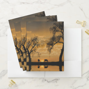 Horse and Sunrise by Pond Reflection Pocket Folder