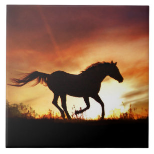 Horse and Sunset Art Tile