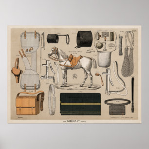 Horse and Supplies Poster
