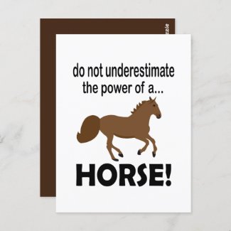Horse Animal Cute Funny Horse 