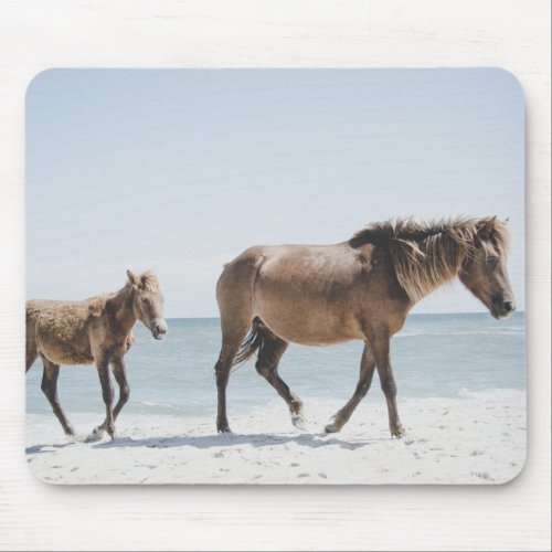horse animal mouse pad