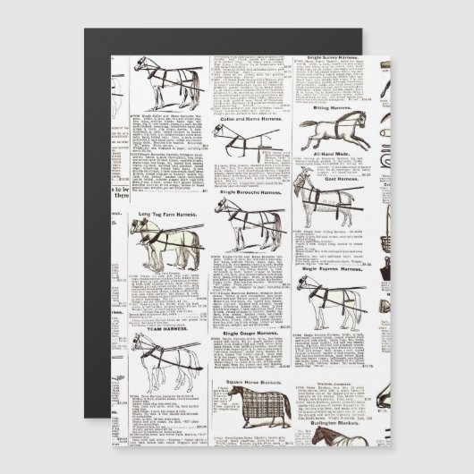 Horse Antique Advertising Newspaper Art (Front/Back)